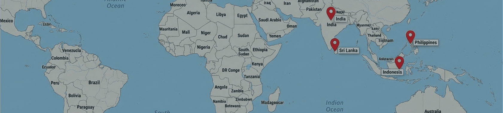World Map